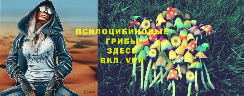 Галлюциногенные грибы Psilocybine cubensis  купить наркотики цена  Ленинск-Кузнецкий 