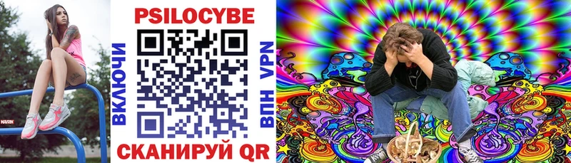 блэк спрут   цена   Ленинск-Кузнецкий  Псилоцибиновые грибы Psilocybine cubensis 