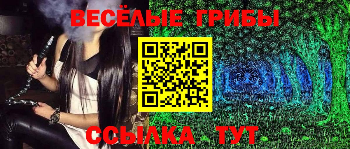 Псилоцибиновые грибы прущие грибы  Вход с VPN  Ленинск-Кузнецкий 